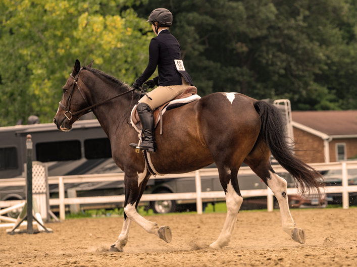 Horse Show Facility Rental in CT